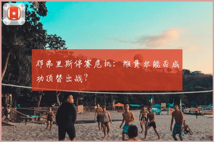 邓弗里斯停赛危机:维费尔能否成功顶替出战?